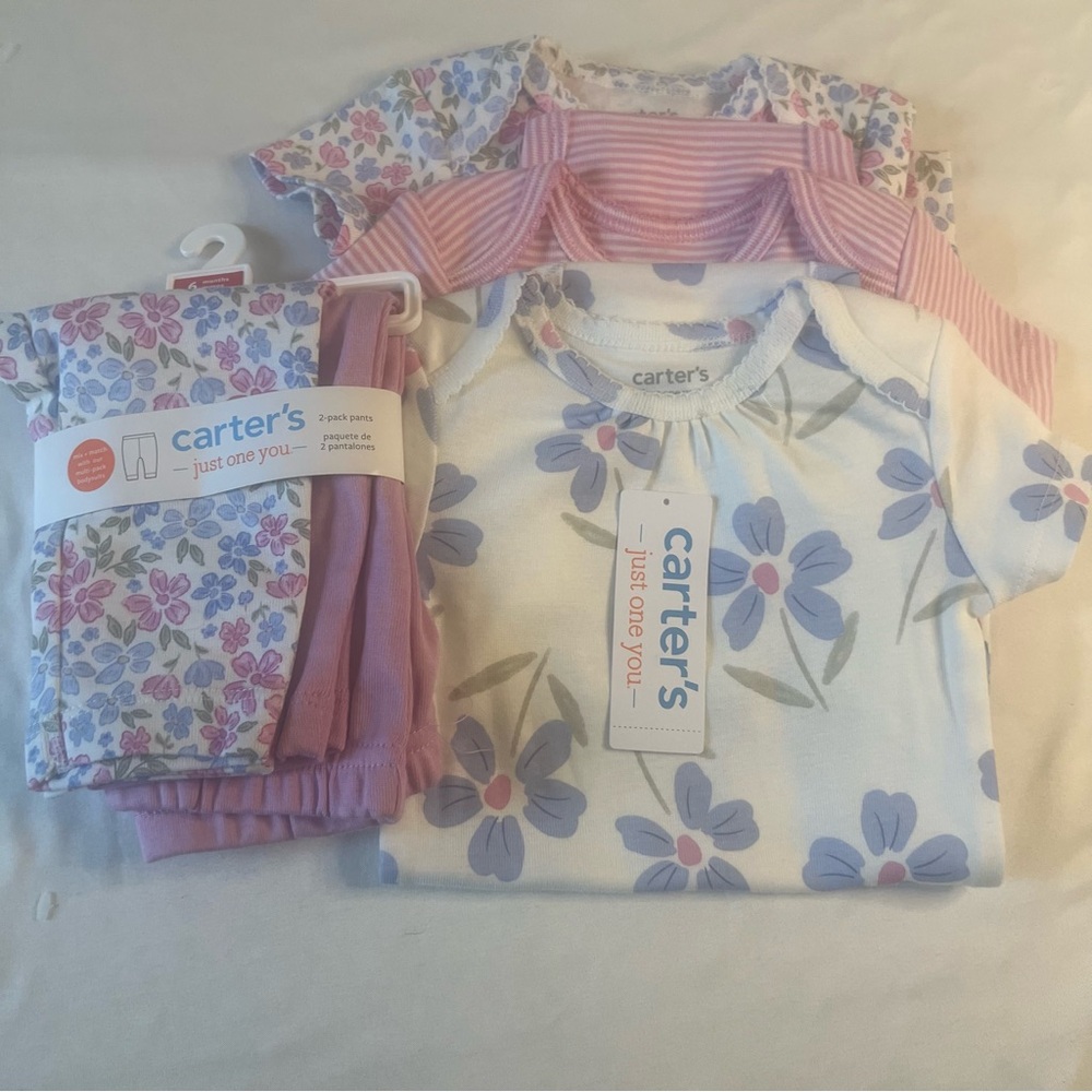 Carter's Blue and Pink Floral Baby Outfit